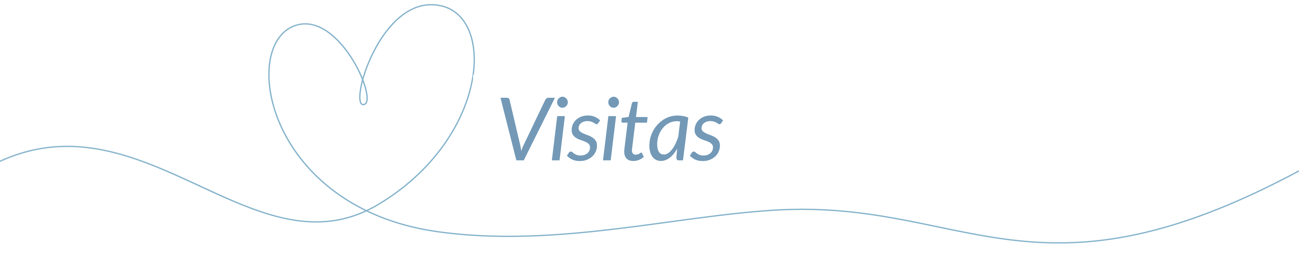 Visitas