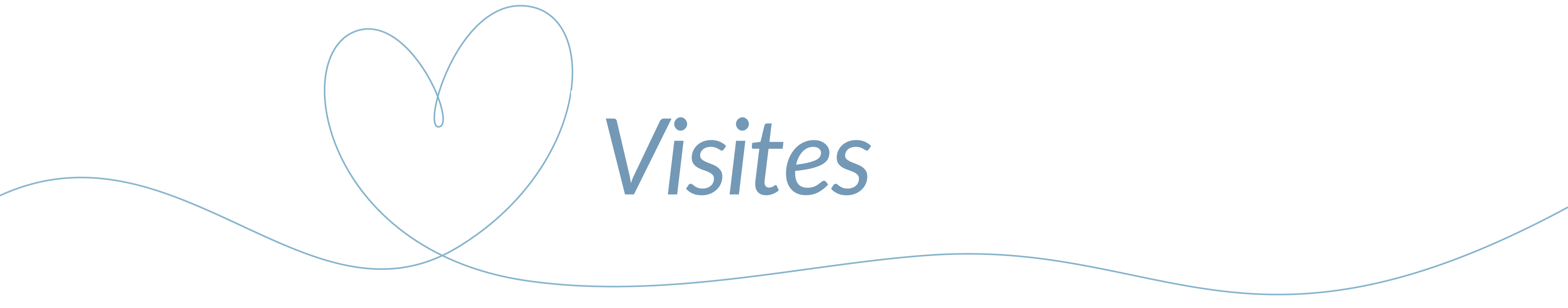 Visitas