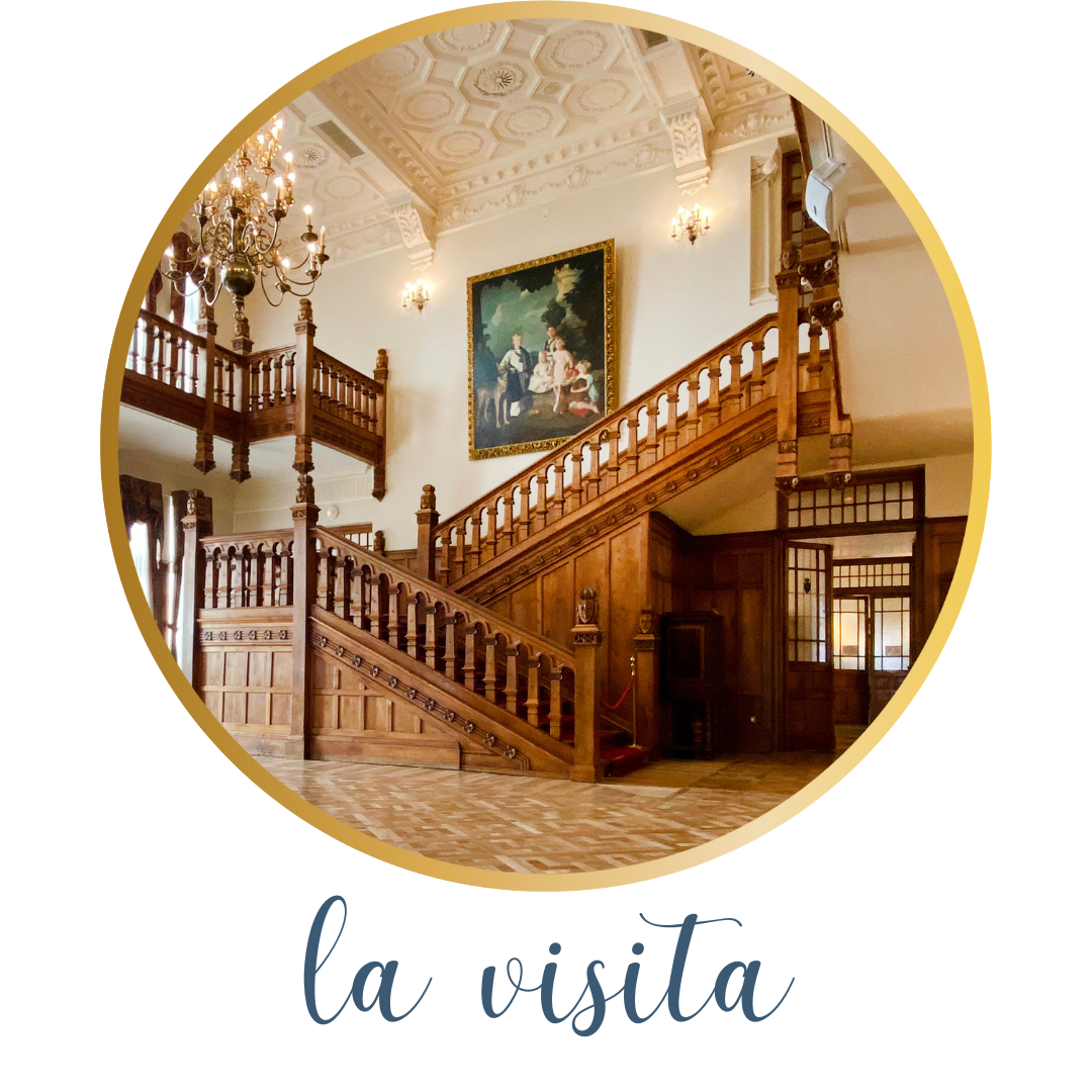 La visita